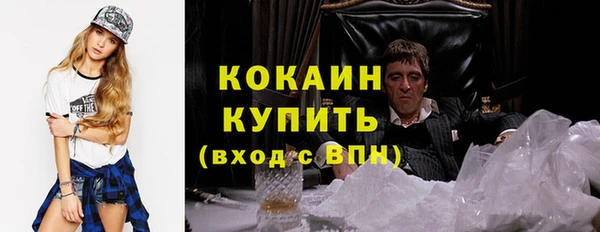 мдпв Няндома