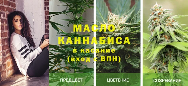мдпв Няндома