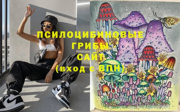сатива Нязепетровск