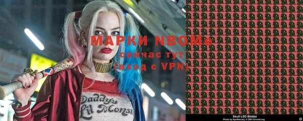 мдпв Няндома