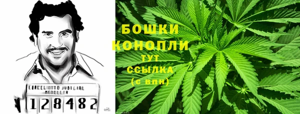 сатива Нязепетровск