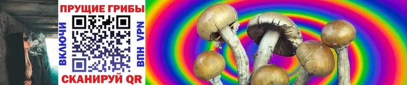 Псилоцибиновые грибы Magic Shrooms  Нахабино 