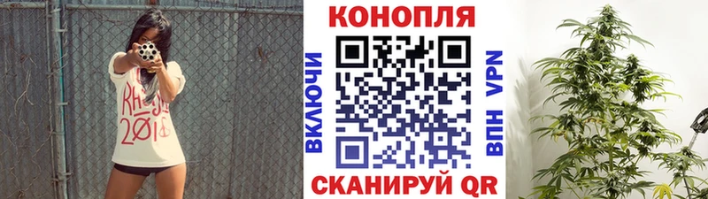 Каннабис Bruce Banner  Нахабино 